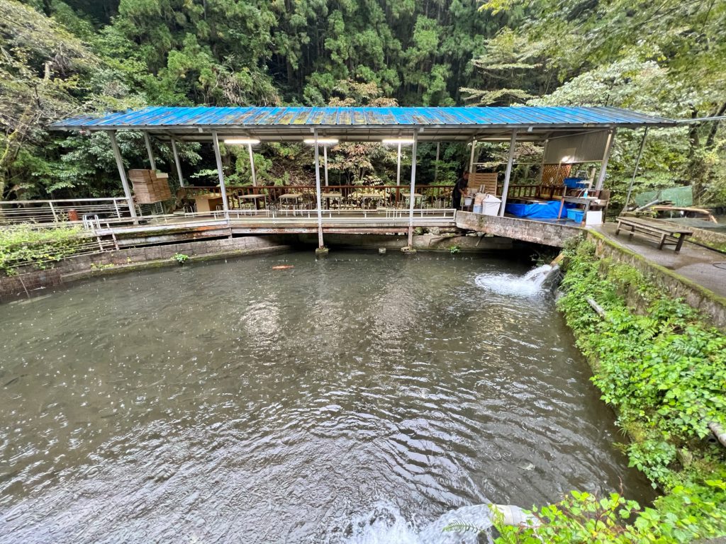 岐阜県郡上で釣ったアマゴと鮎を食べられる釣り堀 釜ヶ滝マス園 断捨離が行き過ぎて家まで無くなった話